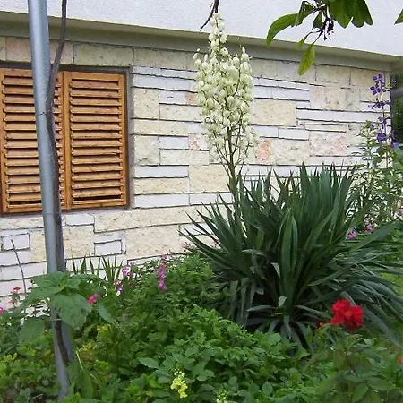 Guest house Vila Stanchevi Balchik